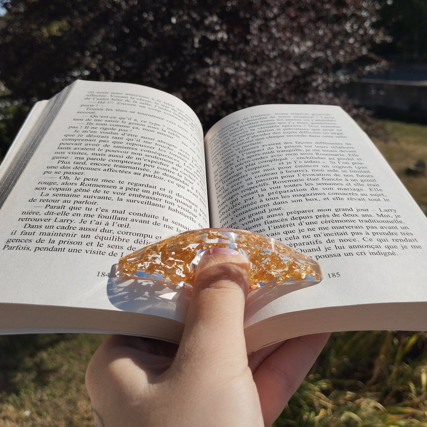 Bague de lecture 2